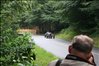 (2011 august 14) Hillclimb Munkebjerg 071.JPG