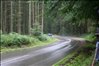 (2011 august 14) Hillclimb Munkebjerg 168.JPG