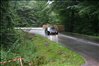 (2011 august 14) Hillclimb Munkebjerg 171.JPG