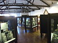 BedfordMuseumArchaeologyGallery.JPG