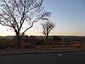 Diepsloot Twilight1.JPG