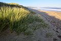 Hope Beach, Tas.jpg