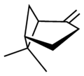 (+)-beta-pinene-2D-skeletal.png