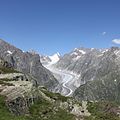 Fieschergletscher-58.jpg