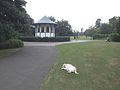 BedfordParkBandstand.JPG