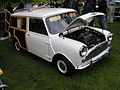 Mini Woody (515055565).jpg