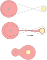 Common envelope diagram.svg